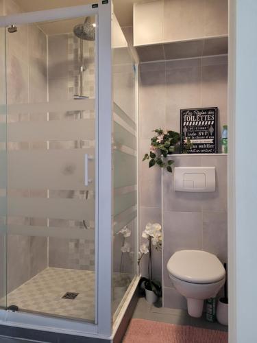 een badkamer met een toilet en een douche bij Cocooning House 212 Suite COSY SUNSHINE appartement Aeroport Paris Roissy CDG et Parc Asterix in Survilliers