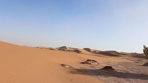 Gambar di galeri bagi Stay under millions of stars deep in the desert di El Gouera