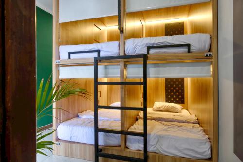 um quarto com três beliches e uma planta em HUBS Hostel Yogyakarta em Yogyakarta