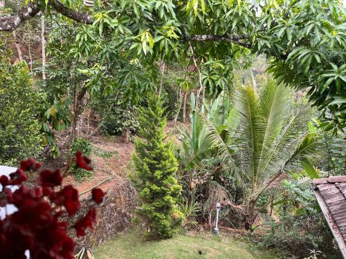 a view of a garden with trees and plants at Maliyeckal Homestay in Munnar