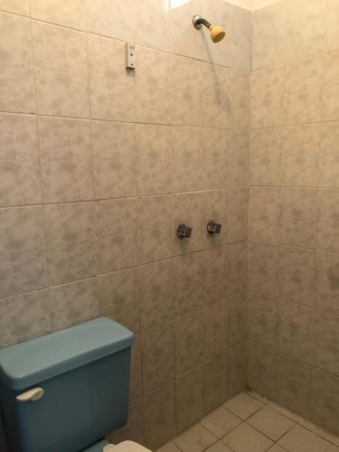 een badkamer met een douche en een blauw toilet bij Bungalo en Tecolutla in Tecolutla