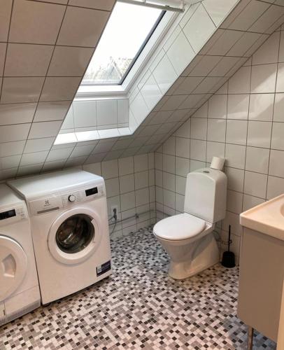 bagno con lavatrice, servizi igienici e lucernario. di Kungs Bäcks Gård Höllviken a Höllviken