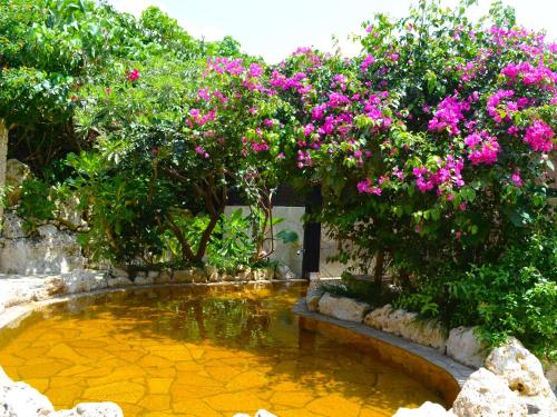 a garden with a pond with pink flowers and trees at Hotel Shigira Mirage Beach Front in Miyako Island