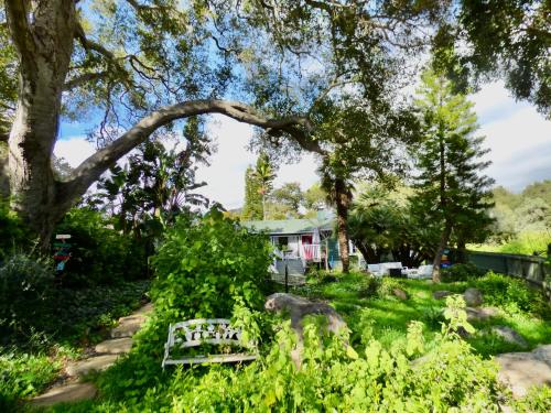 a bench in a yard with trees and grass at Bohemian Art & Garden Cottage Santa Barbara in Santa Barbara