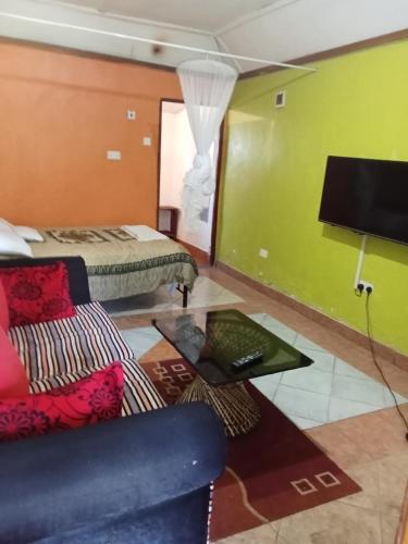 a living room with a couch and a tv at Yaya kilimani cottage B in Nairobi