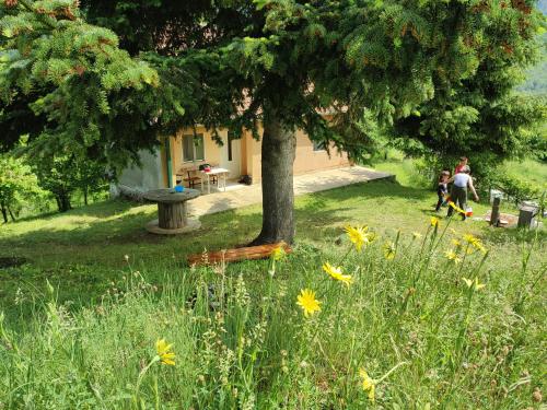 a group of people in a yard with a tree at Valley Tara in Plužine