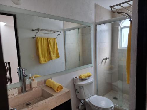 a bathroom with a shower and a toilet and a sink at Casa con alberca Lomas de San Pedro SD in Querétaro