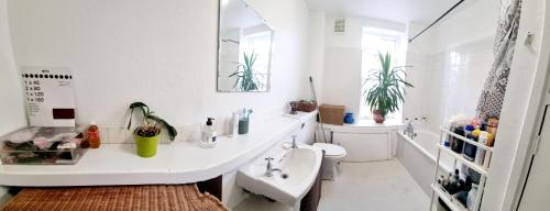 een witte badkamer met een wastafel en een toilet bij Double room near Highgate in Londen