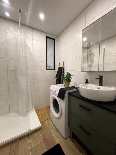 une salle de bain avec une machine à laver et un lavabo dans l'établissement HOME GREEN TOUCH - Fibre*Near Basel*Cosy, à Saint-Louis
