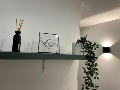 a green shelf with a box and a plant on it at HOME GREEN TOUCH - Fibre*Near Basel*Cosy in Saint-Louis