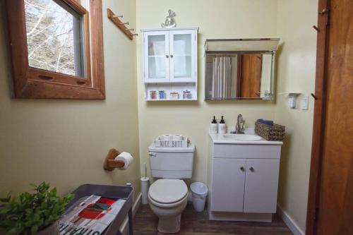 y baño con aseo, lavabo y espejo. en Dream Stratton Forest Cabin with Hot Tub and Fast WiFi, en Stratton
