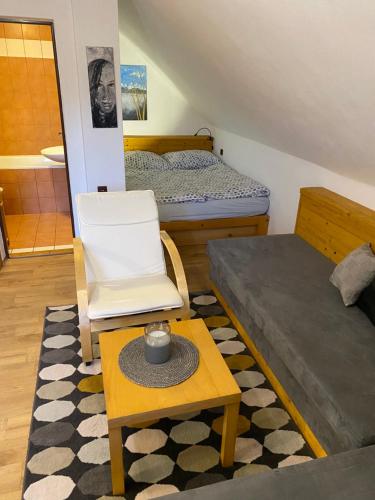 um quarto com uma cama, uma cadeira e uma mesa em Apartmán Ivko em Letohrad