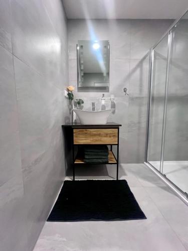 a white bathroom with a sink and a shower at Ubytování Zátiší 2 Olomouc in Olomouc