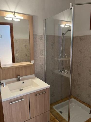 une salle de bain avec un lavabo et une douche dans l'établissement Maison de Campagne au bord de l'eau, à Saint Alban Auriolles