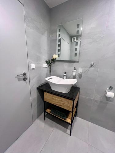 a bathroom with a sink and a mirror at Ubytování Zátiší Olomouc in Olomouc