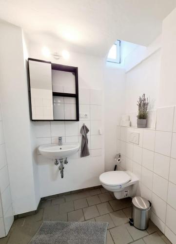 a white bathroom with a toilet and a sink at Spacious Apt for 9 in great location in Hamburg