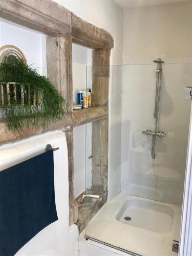 une salle de bain avec douche et lavabo dans l'établissement Villa, vieille ferme rénovée calme, nature avec piscine privée., à Vindrac-Alayrac