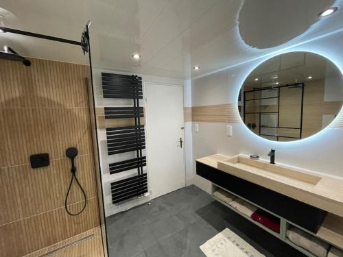 Koupelna v ubytování Gîte cosy pour 2 à 4 personnes, village proche Mulhouse