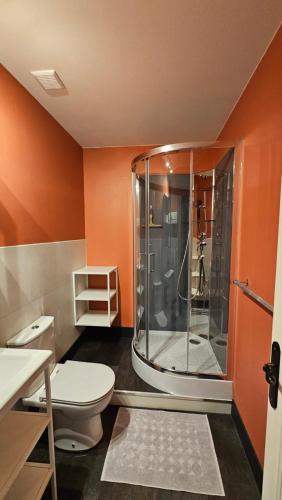 La salle de bains est pourvue de toilettes et d'une douche. dans l'établissement Coliv'Castres, à Burlats