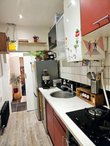 une cuisine avec un évier et un plan de travail dans l'établissement Charming 2-room apartment with garden - 10 min from the centre of Paris and the Olympic Village, à Saint-Denis