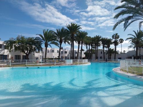 Royal Blue Corralejo by Sea You There Fuerteventura