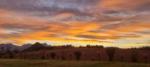 a painting of a field with trees and a sunset at Ferienwohnung "Haus Falle" in Schiefling am See