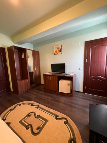 een woonkamer met een tapijt op de vloer bij Casa Verde in Videle