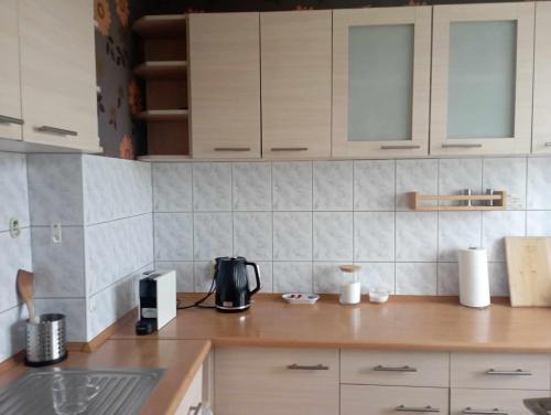 Η κουζίνα ή μικρή κουζίνα στο Apartament przy Ergo