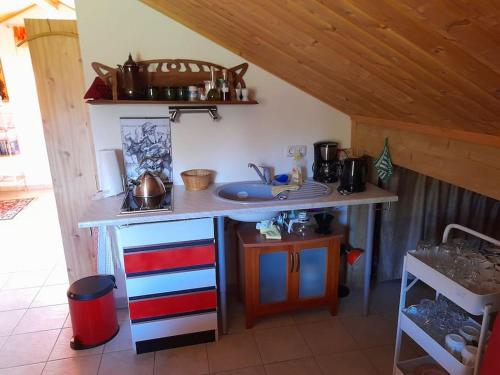 Una cocina con encimera y fregadero en una habitación. en 1-Zimmer-Studio am Waldrand, en Hammelbach