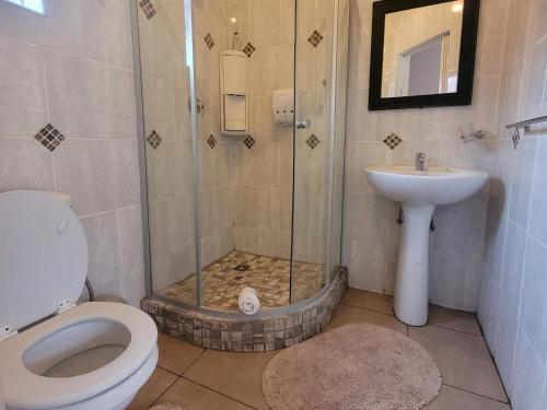 a bathroom with a shower and a toilet and a sink at Molopo Naledi Guest Lodge in Vryburg