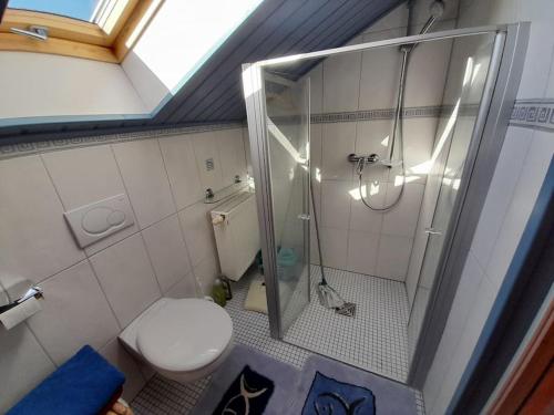 een kleine badkamer met een douche en een toilet bij 1-Zimmer-Studio am Waldrand in Hammelbach