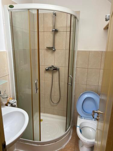 uma casa de banho com um chuveiro, um WC e um lavatório. em B&B San Michele em Baia Mare