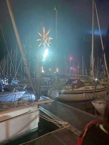 um grupo de barcos ancorados numa marina à noite em Bateau à quai, logement atypique chaleureux em Perros-Guirec