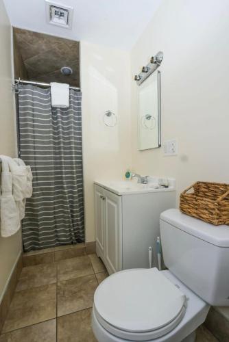 a white bathroom with a toilet and a shower at Stylish Apartment in Malden 20 Min from Boston #2 in Malden