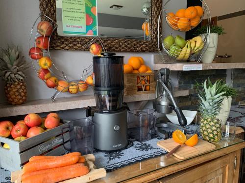 a blender sitting on a counter with fruits and vegetables at H&R Polaris Szczawnica in Szczawnica