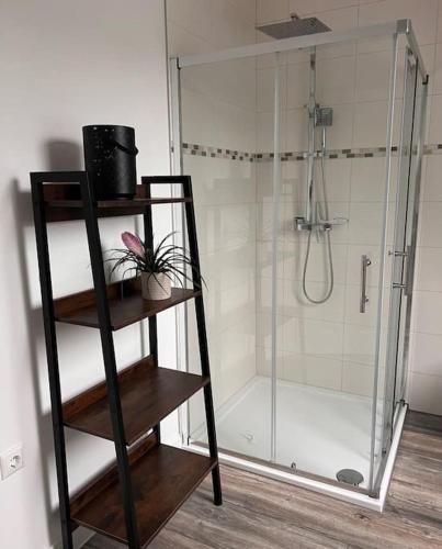 bagno con doccia e box doccia in vetro di Haschys Ferienwohnung a Osterburg