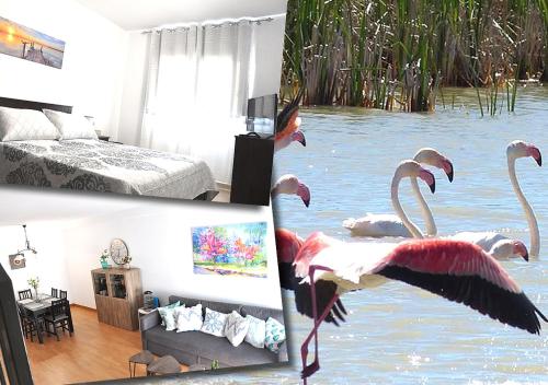 Apartamento Dúplex en Delta de l'Ebre dos terrazas y balcón
