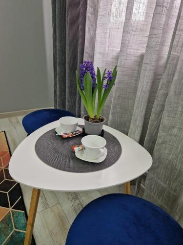 a white table with two cups and a plant on it at Sco Studio in Galaţi