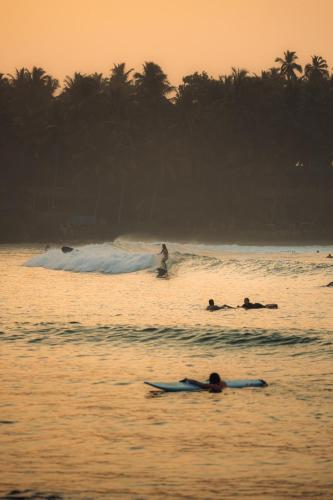 a group of people in the ocean on surfboards at Ayubowan Hiriketiya in Dickwella