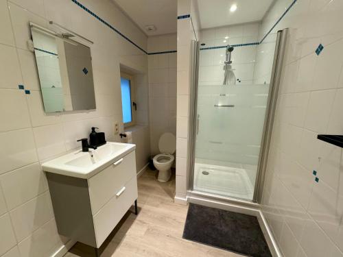 W łazience znajduje się prysznic, umywalka i toaleta. w obiekcie Maison en plein centre de Ciney w mieście Ciney