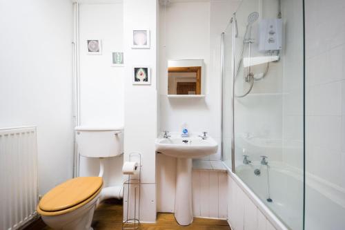 a bathroom with a toilet and a sink and a shower at Pine Cottage Little Haven in Little Haven