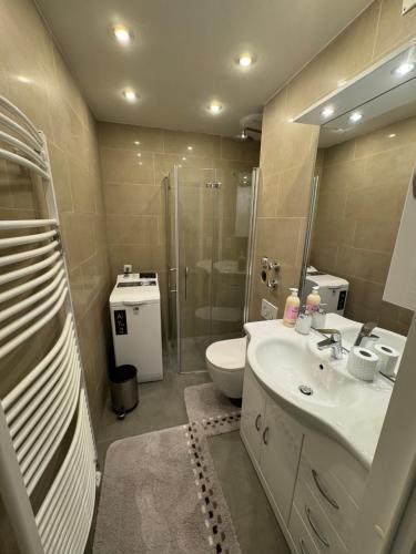 Ένα μπάνιο στο Comfortable Studio Nuremberg