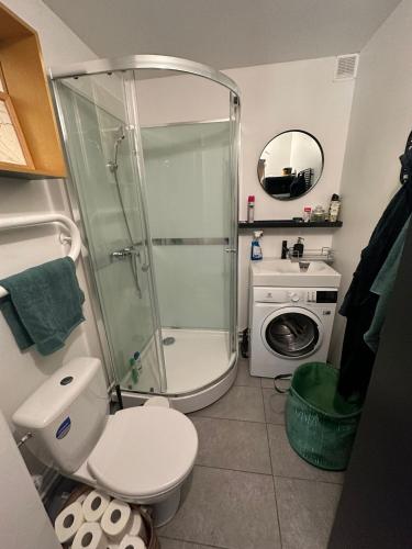 een badkamer met een douche, een toilet en een wasmachine bij Roxy’s Kabin in Jelgava