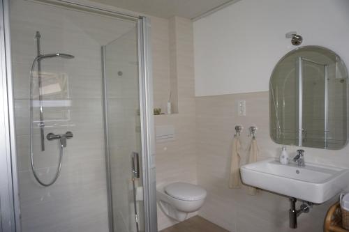 a bathroom with a shower and a toilet and a sink at Ferienwohnung Havelnixe in Bahnitz