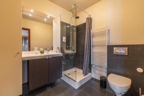 ein Bad mit einer Dusche, einem WC und einem Waschbecken in der Unterkunft Day Dream Strandgata 11 in Akureyri