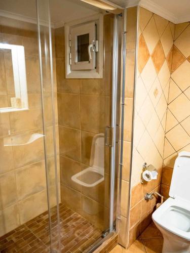 a bathroom with a shower and a toilet at A Casa D'Irene in Perea