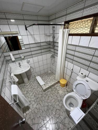 ein Bad mit einem WC, einem Waschbecken und einer Dusche in der Unterkunft Dodoma Rock Hotel Ltd in Dodoma