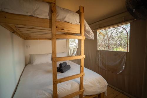 - un lit superposé dans une petite maison avec une échelle dans l'établissement AfriCamps Waterberg, à Vaalwater