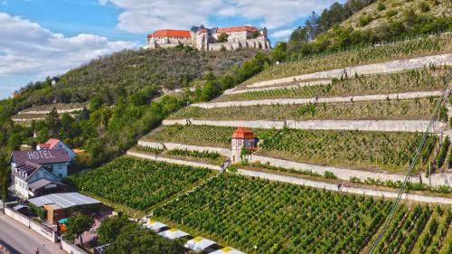 a castle on top of a hill with vines at Landhotel Weingut Schulze in Freyburg