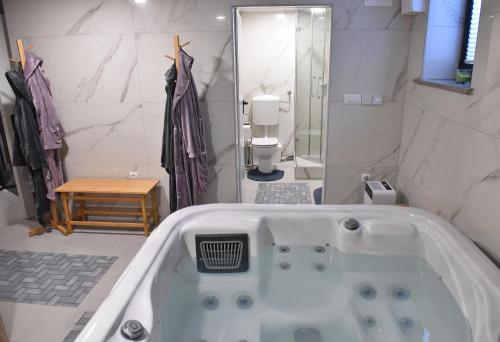 a bathroom with a bath tub in a room at SALVUS APARTMA in Lendava